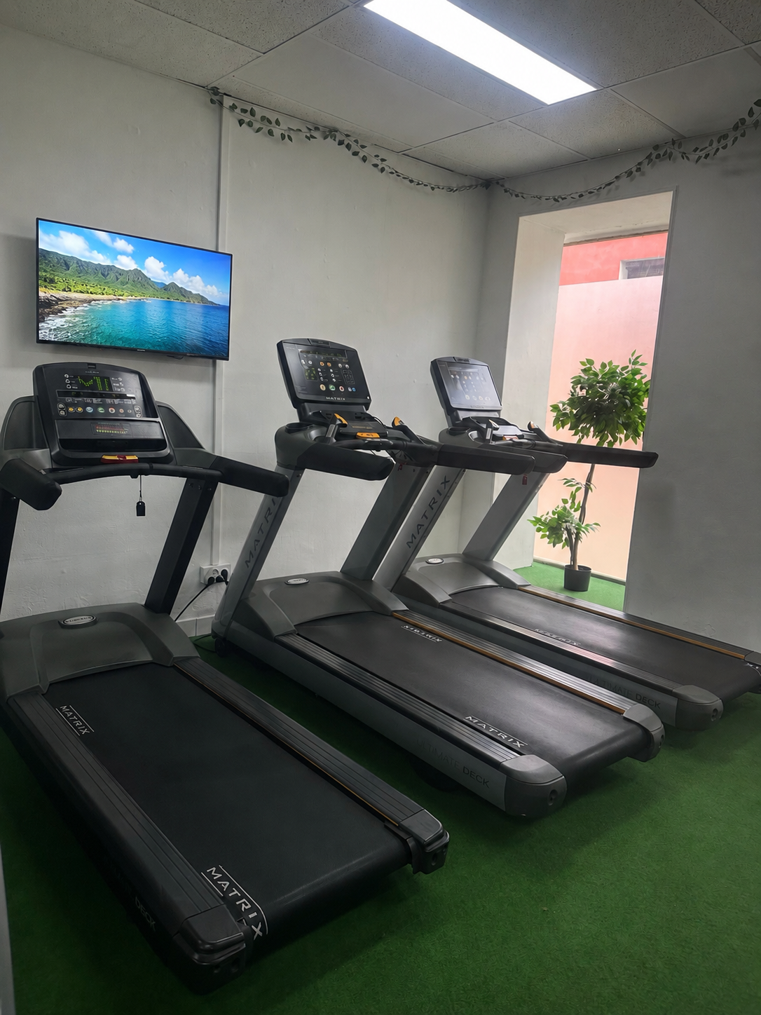 Vélos et tapis de l'espace cardio Belle & Fit