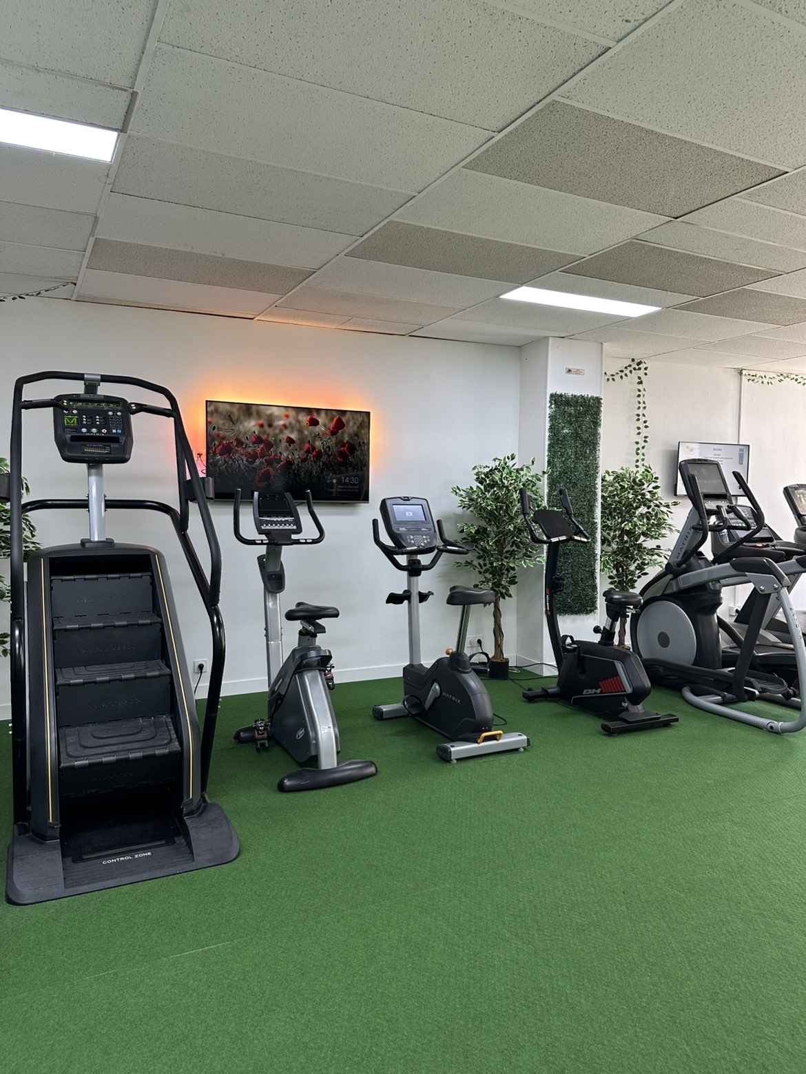 Stepper et vélos de l'espace cardio Belle & Fit