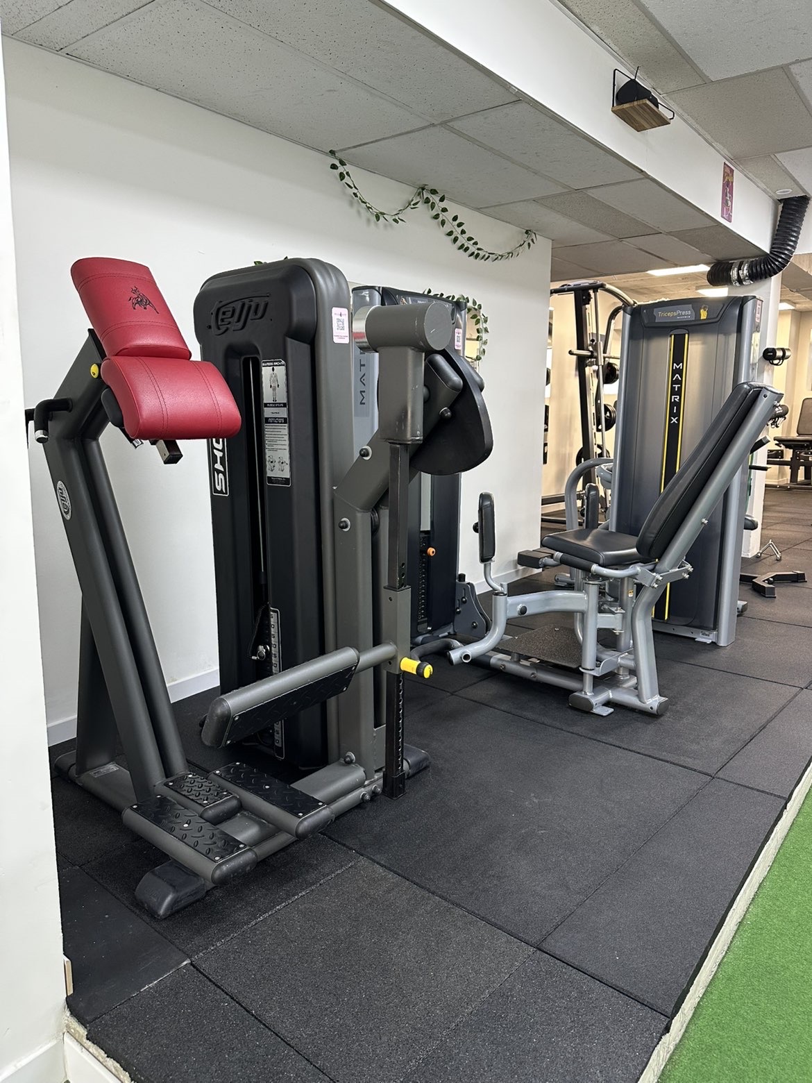 Bancs et machines Matrix de l'espace musculation Belle & Fit